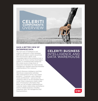 Celeriti Business Intelligence